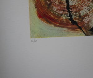 Jan te Wierik - zonder titel kopen? Bied vanaf 95!