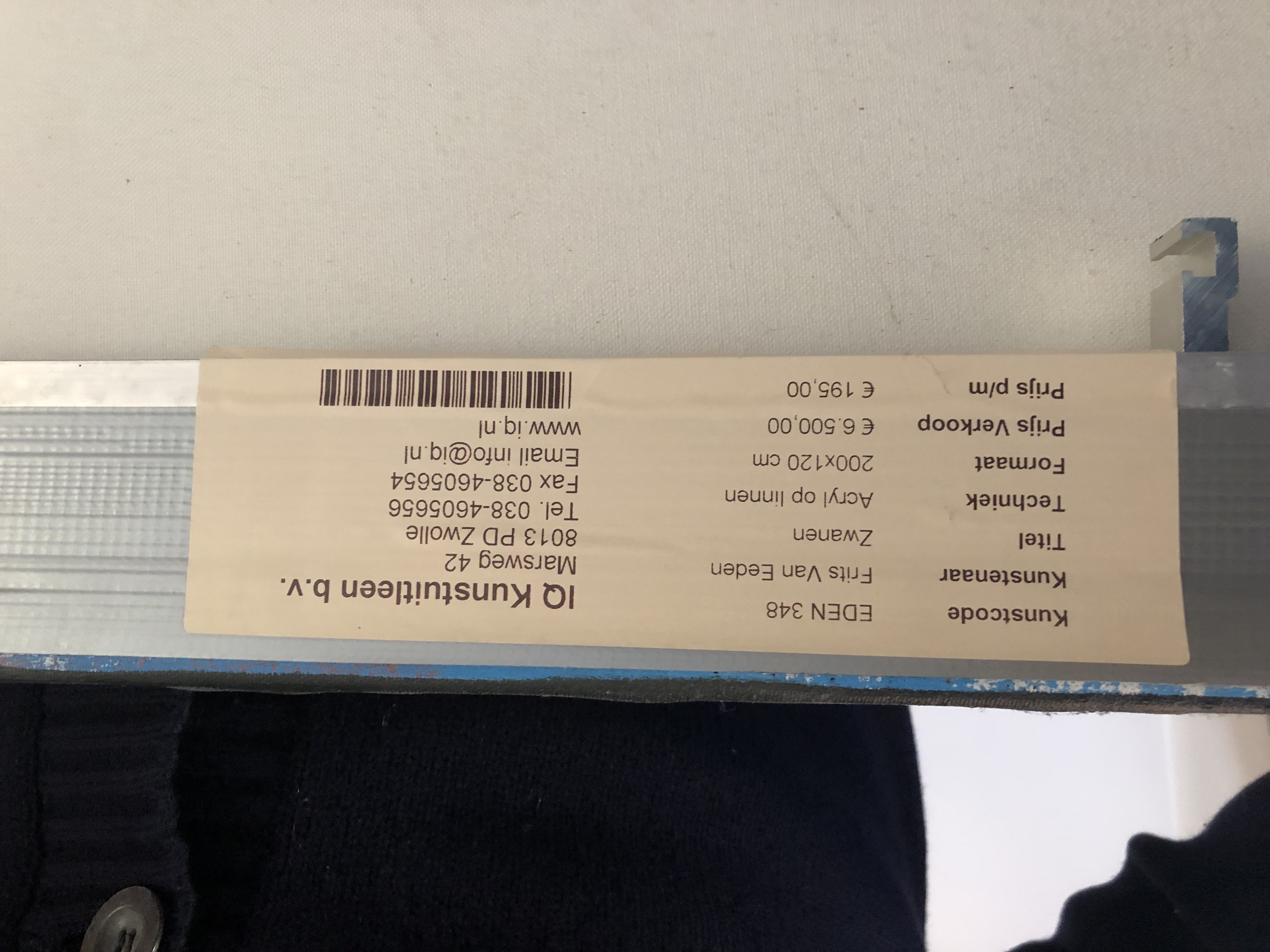 Frits van Eeden - Zwanen verkocht voor € 750!