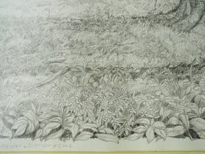 Cees Schellenberg - Tekening - Mariapolder Dordrecht kopen? Bied vanaf 60!