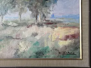 Louis Henno - natuurzicht in de buurt van Sluis kopen? Bied vanaf 300!