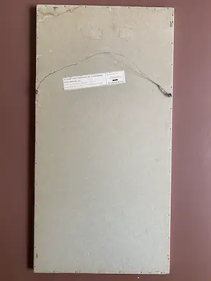 Sonja Noppen - Drie broeders kopen? Bied vanaf 1!