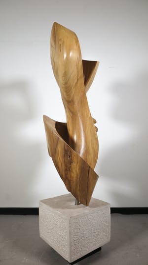 Niet of onleesbaar gesigneerd - Groot organisch gevormd houten sculptuur (Zwaar!) kopen? Bied vanaf 1!