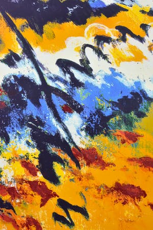 Mattie Schilders - Vormende handen van de evolutie - Ingelijst - Groot kopen? Bied vanaf 1!