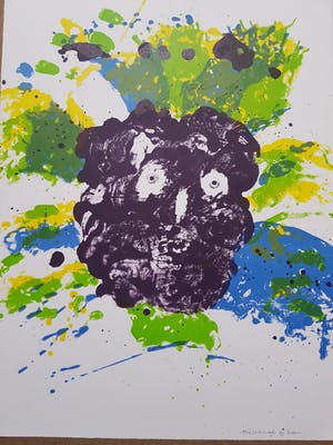 Jef Diederen - Jef Diederen1920-2009 4x kleurenlitho's gesigneerd, genummerd & gedateerd kopen? Bied vanaf 95!