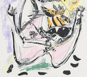 Kees Salentijn - Casida kopen? Bied vanaf 100!