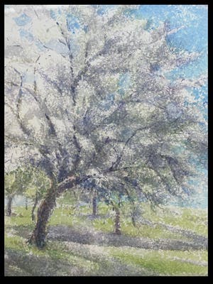 Nico Schelvis - Bloeiende fruitbomen bij Alden Biesen kopen? Bied vanaf 150!