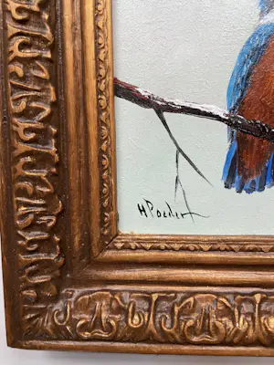 Henk Poeder - Vogel kopen? Bied vanaf 99!