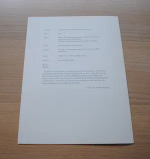 Lei Molin - Bijzondere uitgave met kleurenlitho en handgesigneerde tentoonstellingsaffiche kopen? Bied vanaf 25!