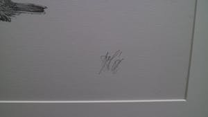 Peter Vos - oude man tussen mussen kopen? Bied vanaf 75!