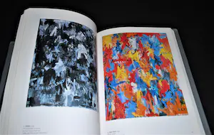 Jasper Johns - a Retrospective 1996 - uitgave MoMa - monumentaal - 408 pag. kopen? Bied vanaf 50!