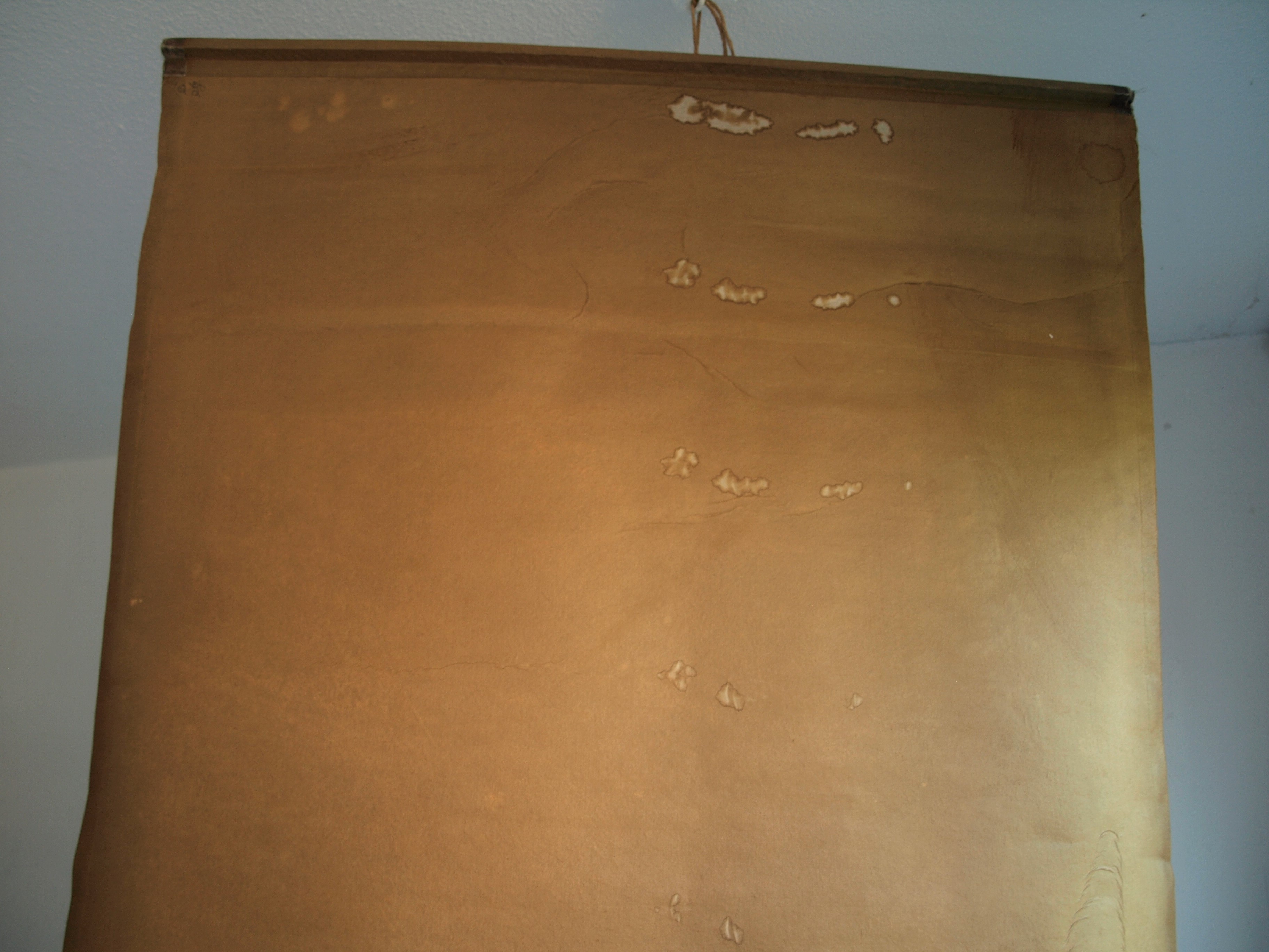 Niet of onleesbaar gesigneerd - Haan en Bloesem - Aquarelverf en inkt op papier, opgerold op houten stok kopen? Bied vanaf 1!