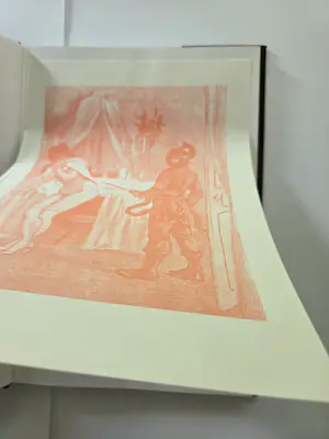 Felicien Rops - De erotische gravures. 1985. Boek. Met unieke prent. kopen? Bied vanaf 39!