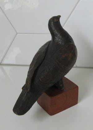 Niet of onleesbaar gesigneerd - Plastiek van een bronzen Duif op teakhouten sokkel kopen? Bied vanaf 10!