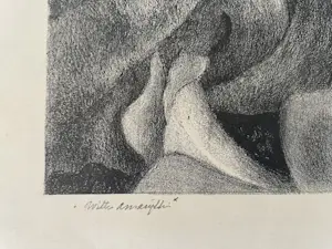 Jan Visser - Witte amaryllis kopen? Bied vanaf 35!