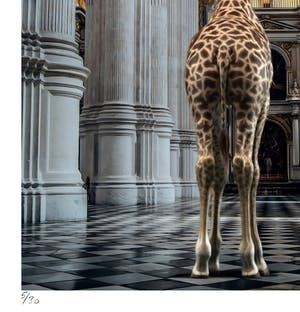 Mr. Strange - Les hautes voûtes kopen? Bied vanaf 50!