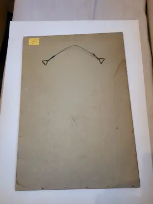 Tijmen Moll - Portret van een uil kopen? Bied vanaf 125!