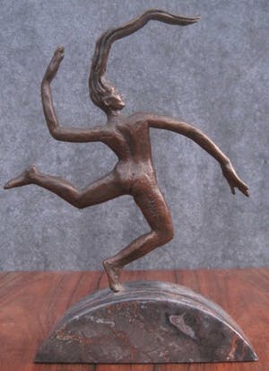 Frans van de Ven - Gejaagd door de wind. kopen? Bied vanaf 90!