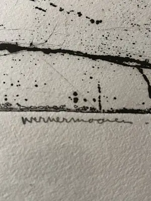 Werner Moonen - Kleurenets "Huis" 7/24 Eigen Druk kopen? Bied vanaf 35!