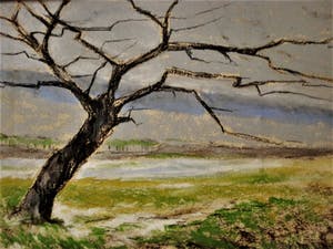 Auguste Donnay - 19e eeuws Belgisch impressionist - aan de oevers van de Maas - fraai gelijst kopen? Bied vanaf 89!