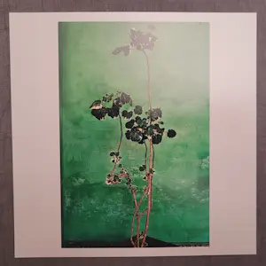 Raghu Rai - Trees - Magnum photos limited edition kopen? Bied vanaf 250!