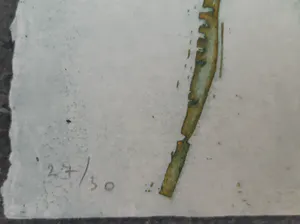 Jan Montyn - Bamboo II kopen? Bied vanaf 60!