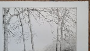 Charles Donker - Lente, struiken voor hoge bomen (Balkende buizerden) kopen? Bied vanaf 250!