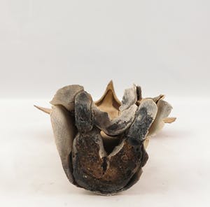 Niet of onleesbaar gesigneerd - Brons, keramiek, steen en hout, Lot van 4 sculpturen kopen? Bied vanaf 10!