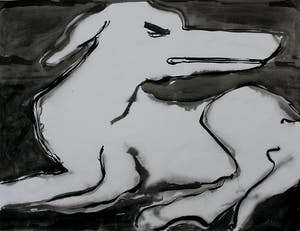 Ad van Riel - Hond(1) kopen? Bied vanaf 35!