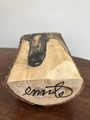 Emile van der Kruk - Greyhound kopen? Bied vanaf 1!