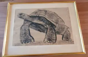 AcheterAlfons Van Meirvenne - De Schildpad? Enchérissez de 275!