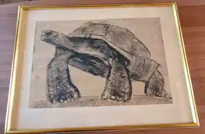 Alfons Van Meirvenne - De Schildpad verkauft für € 457!
