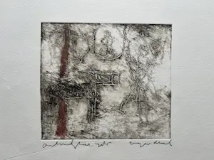 Anton Heyboer - Eigen druk 1985 kleur kopen? Bied vanaf 300!