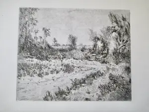 Niet of onleesbaar gesigneerd - 10 diverse etsen Landschap oa Matthes v.Leusden Vrolijk Heyning kopen? Bied vanaf 1!