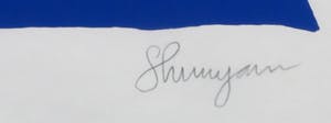 Shunyam - Zeefdruk, Born Lazy - Ingelijst kopen? Bied vanaf 40!