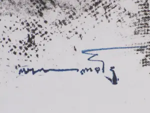 Wim Motz - Jazz-scene - Litho kopen? Bied vanaf 1!