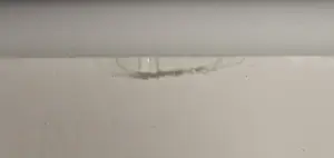 Patty Harpenau - Zeefdruk, La tute II - Ingelijst (Groot) kopen? Bied vanaf 1!