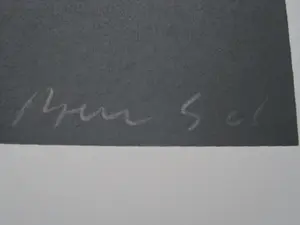 Ben Sleeuwenhoek - gevierd conceptueel Kunstenaar - serie van ZES zeefdrukken - zeer kleine oplage! kopen? Bied vanaf 174!