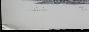 Buy Dirkje Kuik - Litho: Veduta - 1979? Bid from 59!