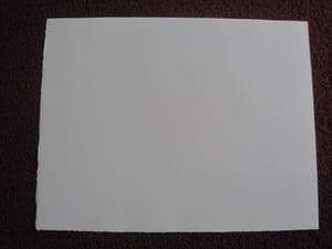 Dirk van Gelder - Meester graficus HERFST dennenappels, salamander etc - oplage 75 - potl.gesignrd kopen? Bied vanaf 68!