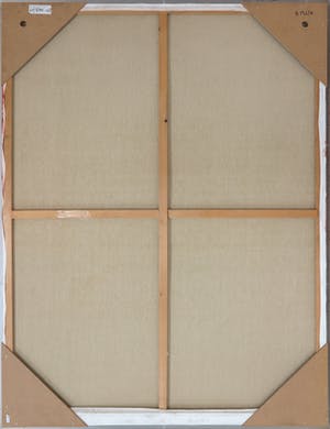 Stephan Kaluza - Olieverf op doek, in/achter mat perspex baklijst, Z.T. (Zeer groot) kopen? Bied vanaf 400!