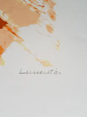 Paul de Lussanet - Liggend Naakt - Zeefdruk. kopen? Bied vanaf 50!