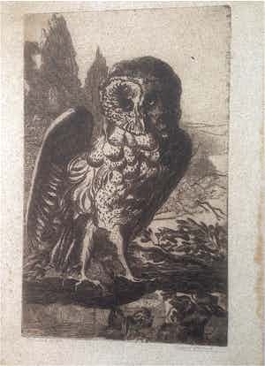 Cornel Kwint - Torenuil verkocht voor € 35!