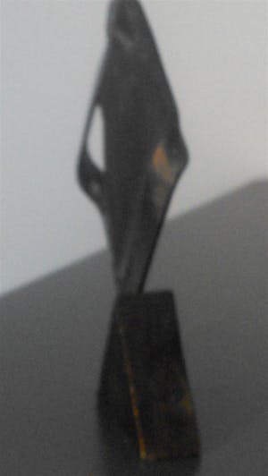 Brons (Onbekend) - Gezicht in Raam kopen? Bied vanaf 24!