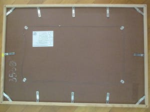 Lukie de Bree - Ingelijste ets "Papaverblad" perfect ingelijst kleine oplage kopen? Bied vanaf 60!