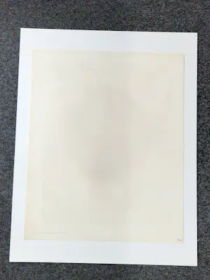 Kees van Bohemen - Grote 1978 A.P. (oplage slechts 20!) zeefdruk "groene Aap" in nieuwstaat. kopen? Bied vanaf 49!