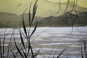 Tom Anema - vogels boven het meer - gouache kopen? Bied vanaf 60!