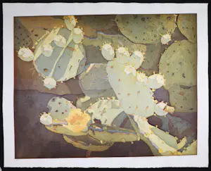 Marcel Schellekens - Kleurenets, Cactussen (Groot) kopen? Bied vanaf 150!