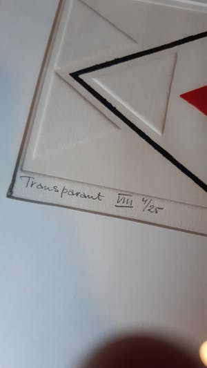 Louis Wouters - Transparant VIII kopen? Bied vanaf 40!