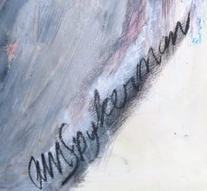 Annemarie Spijkerman - Gemengde techniek, Sally is back in town again - ingelijst (Groot) kopen? Bied vanaf 1!