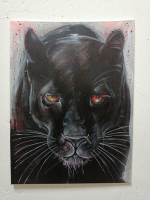 Niet of onleesbaar gesigneerd - Zwarte Panter kopen? Bied vanaf 1!